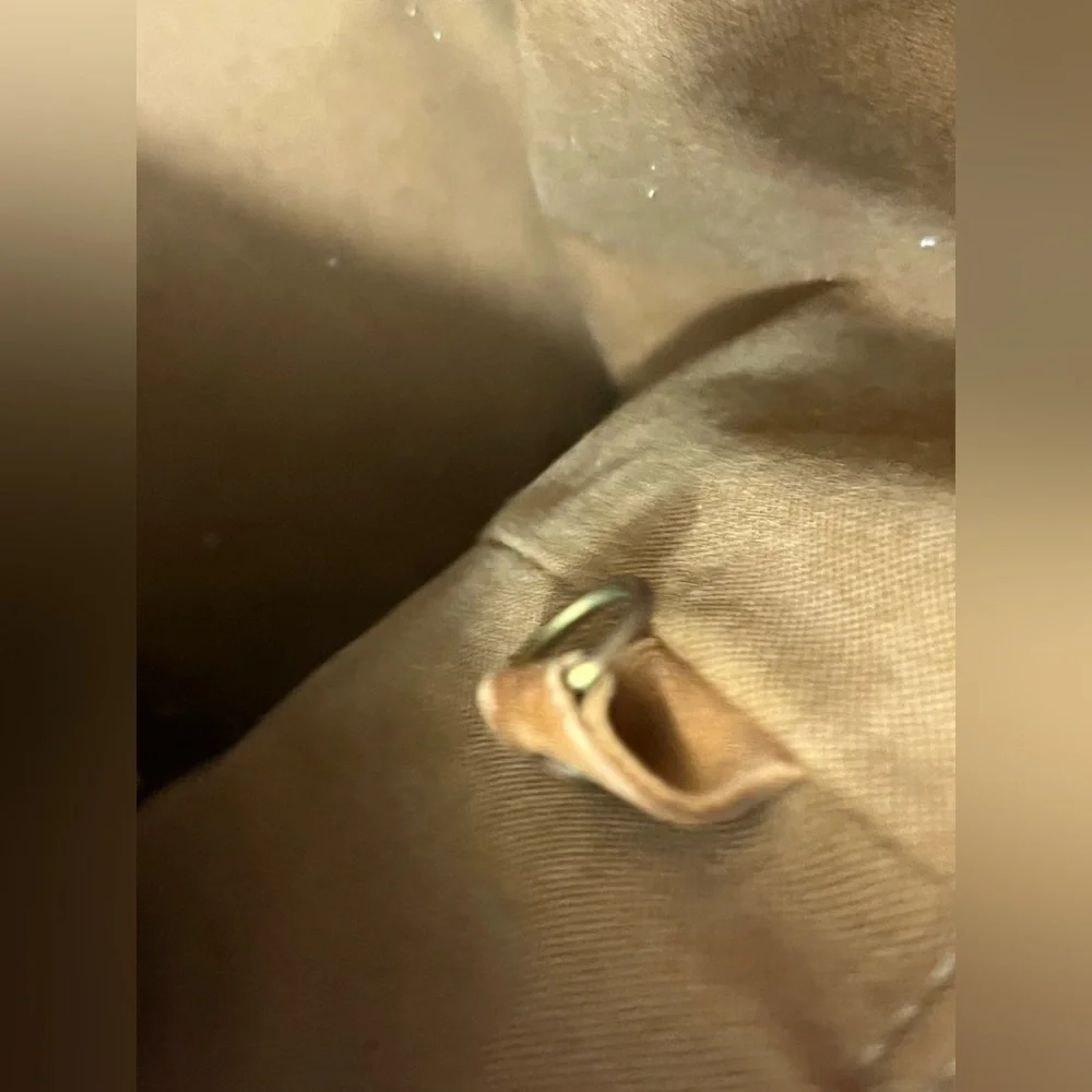 Louis Vuitton Vintage Damier Ebene Centenair Columbine Tote - Picture 9 of 16